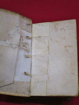 De situ orbis libru XVII. Editi quidem in eorum gratiam, qui Geographiae studiosi sunt, olim (ut putatur) à Guarino Ve ronesi, [...]. Tome I seul.. ...