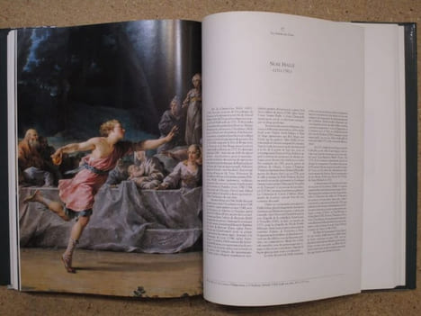 Les amours des dieux : la peinture mythologique de Watteau à David.. BAILEY Colin B. et al.