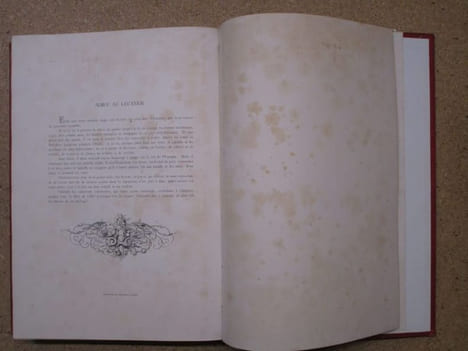 L'Espagne.. SIMONS Théodore / WAGNER Alexandre (gravures et planches)