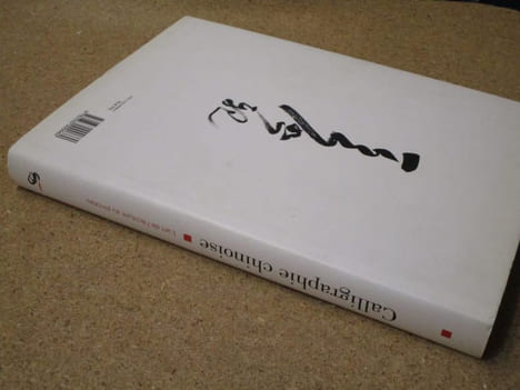 Calligraphie chinoise : l'art de l'écriture au pinceau.. POLASTRON Lucien X.