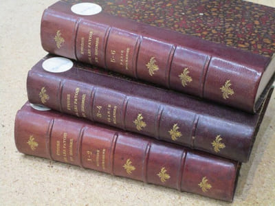 (1) Histoire littéraire, philologique et bibliographique DES PATOIS et de l'utilité de leur étude / (2) Euscara libruteguia ou esquisse bibliographique générale des phonopolismes BASQUES / (3) Histoire de l'IDIOME BOURGUIGNON et de sa littérature propre ou philologie comparée de cet idiome, suivie de quelques poésies françaises inédites de Bernard de la Monnoye / (4) Tableau synoptique et comparatif des IDIOMES POPULAIRES OU PATOIS de la France contenant des notices sur la littérature des dialectes, leur division territoriale, ainsi que celle de leurs sous-espèces, des indications générales et comparatives sur leurs articulations et sur leurs formes grammaticales (...) et accompagné d'un choix de morceaux en vers et en prose dans les principales nuances de tous les dialectes ou patois de la France / (5) Mélanges sur les LANGUES, DIALECTES et PATOIS, renfermant, entre autres, une collection de versions de la parabole de l'ENFANT PRODIGUE en cent idiomes ou patois différens, presque tous de France, précédé d'un essai d'un travail sur la géographie de la langue française / (6) De l'influence du langage populaire sur la forme de certains mots de la langue française / (7) Etude sur le langage populaire ou patois de Paris et de sa banlieue, précédé d'un coup d'oeil sur le commerce de la France au moyen âge, les chemins qu'il suivait et l'influence qu'il a du avoir sur le langage / (8) Une PAYSANNERIE au XVIIIe siècle / (9) Etudes de la POESIE POPULAIRE en NORMANDIE et spécialement dans l'Avranchin.