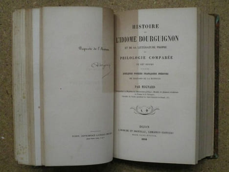 (1) Histoire littéraire, philologique et bibliographique DES PATOIS et de l'utilité de leur étude / (2) Euscara libruteguia ou esquisse ...