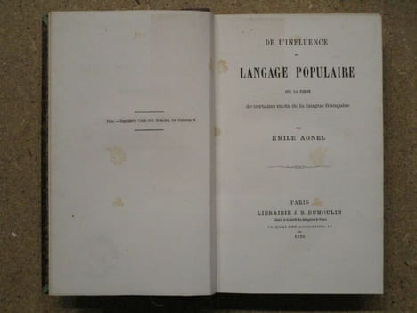 (1) Histoire littéraire, philologique et bibliographique DES PATOIS et de l'utilité de leur étude / (2) Euscara libruteguia ou esquisse ...