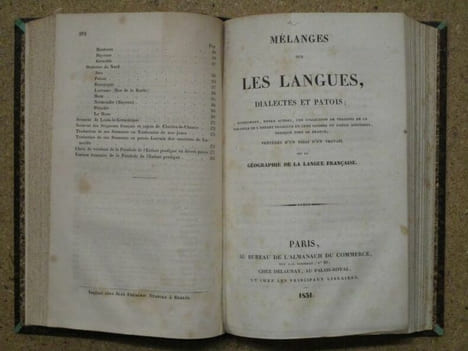 (1) Histoire littéraire, philologique et bibliographique DES PATOIS et de l'utilité de leur étude / (2) Euscara libruteguia ou esquisse ...