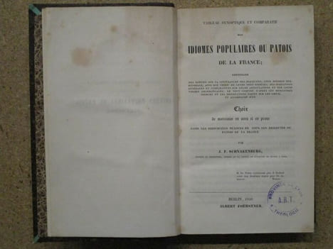 (1) Histoire littéraire, philologique et bibliographique DES PATOIS et de l'utilité de leur étude / (2) Euscara libruteguia ou esquisse ...