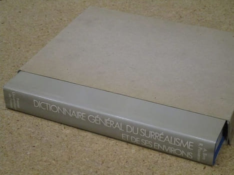 Dictionnaire général du Surréalisme et de ses environs (cinéma, concepts, conférences, enquêtes, expositions, groupes, lettres, littérature, ...