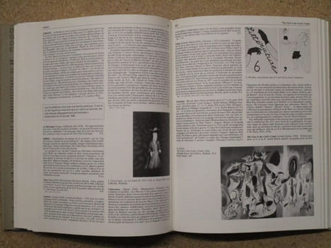 Dictionnaire général du Surréalisme et de ses environs (cinéma, concepts, conférences, enquêtes, expositions, groupes, lettres, littérature, ...