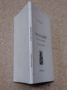 L'aquaplaneur.
