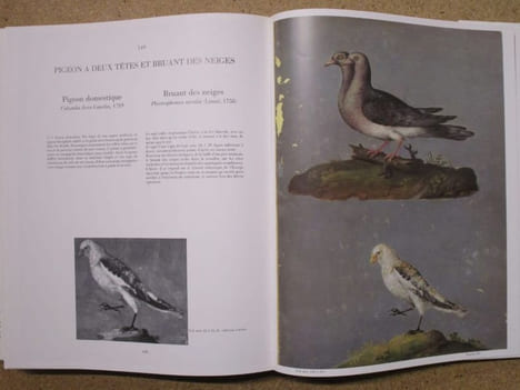 BESTIAIRE de Rodolphe II.. HAUPT Herbert / VIGNAY-WILBERT Thea / IRBLICH Eva
