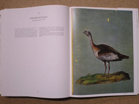 BESTIAIRE de Rodolphe II.. HAUPT Herbert / VIGNAY-WILBERT Thea / IRBLICH Eva