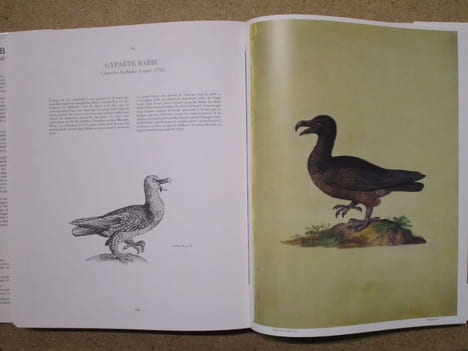 BESTIAIRE de Rodolphe II.. HAUPT Herbert / VIGNAY-WILBERT Thea / IRBLICH Eva
