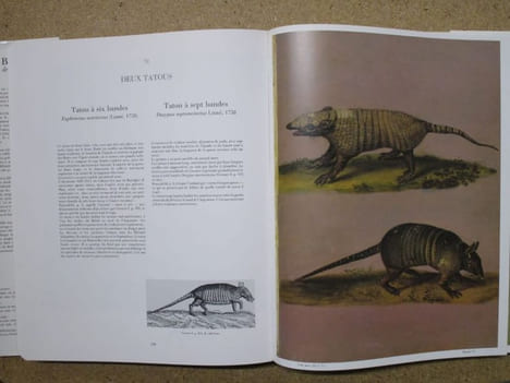 BESTIAIRE de Rodolphe II.. HAUPT Herbert / VIGNAY-WILBERT Thea / IRBLICH Eva
