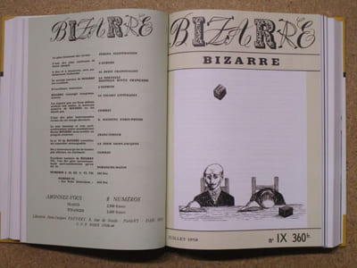 BIZARRE : anthologie, 1953-1968, établie et commentée par Jean-Marie Lhôte.