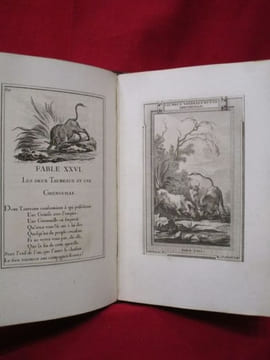 Fables choisies, mises en vers par J. DE LA FONTAINE. Nouvelle édition gravée en taille-douce. Les figures par le Sr FESSARD. Le texte par le Sr. ...