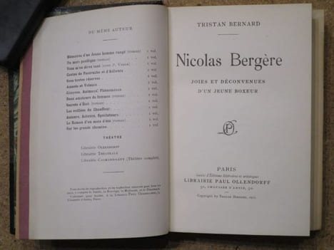 Nicolas Bergère : joies et déconvenues d'un jeune boxeur. . BERNARD Tristan