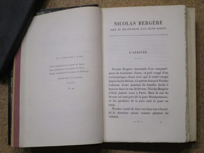 Nicolas Bergère : joies et déconvenues d'un jeune boxeur.