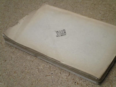 Téhéran, Saint-Pétersbourg (un hiver à Téhéran, aux bords de la Néva) : notes et souvenirs de voyage. Précédé d'une lettre de Mme Jane Dieulafoy