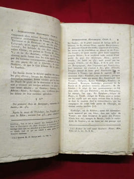 Dictionnaire historique, littéraire et statistique des départemens (départements) du Mont-Blanc et du Léman, Contenant l'Histoire ancienne et moderne ...