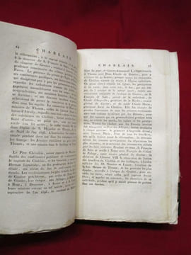 Dictionnaire historique, littéraire et statistique des départemens (départements) du Mont-Blanc et du Léman, Contenant l'Histoire ancienne et moderne ...