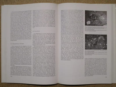 SPM I. Die Schweiz vom Paläolithikum bis zum frühen Mittelalter. Vom Neandertaler zu Karl dem Grossen. PALÄOLITHIKUM UND MESOLITHIKUM / La Suisse du Paléolithique à l'aube du Moyen-Age. De l'Homme de Néandertal à Charlemagne. PALEOLITHIQUE ET MESOLITHIQUE / La Svizzera dal Paleotico all' Alto Medio Evo. Dall' Uomo di Neandertal a Carlo Magno. PALEOLITICO E MESOLITICO.