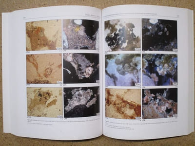 TERRA AMATA : Nice, Alpes-Maritimes, France. Tome I : Cadre géographique - Historique - Contexte géologique - Stratigraphie - Sédimentologie - Datation.
