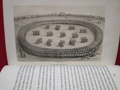 Voyage dans l'Afrique Australe notamment dans le territoire de Natal dans celui des Cafres Amazoulous et Makatisses et jusqu'au tropique du Capricorne exécuté durant les années 1838, 1839, 1843, 1841, 1842, 1843 & 1844 accompagné de dessins et cartes. (2 volumes)