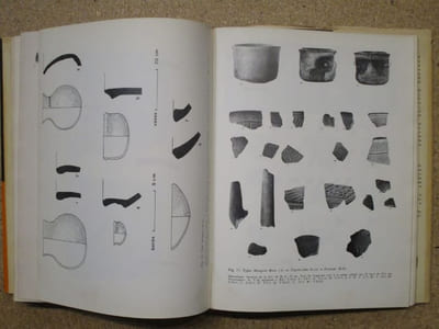 Archéologie de LOS NARANJOS, Honduras.