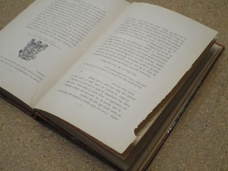 MANUSCRITS, livres et parchemins : souvenirs lyonnais. Collection de lettres autographes de savants, historiens, archéologues, paléographes, ...