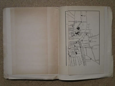 Le livre du vaillant des habitants de Lyon en 1388 : estimation des biens meubles et immeubles pour servir à l'assiette de la taille.
