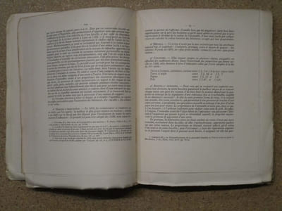 Le livre du vaillant des habitants de Lyon en 1388 : estimation des biens meubles et immeubles pour servir à l'assiette de la taille.