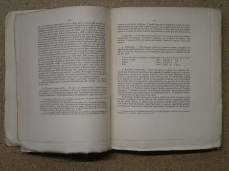 Le livre du vaillant des habitants de Lyon en 1388 : estimation des biens meubles et immeubles pour servir à l'assiette de la taille.. PHILIPON ...