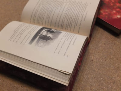 OEUVRES DE ALEXANDRE DUMAS : Le comte de Monte-Cristo (6 volumes) / Le Chevalier de la Maison Rouge (2 vol.) / Une fille de régent (1 vol.) / La dame de Monsoreau (3 vol.) / Joseph Balsamo (5 volumes) / La reine Margot (2 vol.) / Le collier de la reine (3 vol.) / Le chevalier d'Harmental (2 vol.) / Le vicomte de Bragelonne (6 vol.) / Les trois mousquetaires (2 vol.) / Vingt ans après (3 vol.)