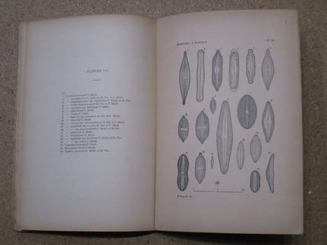 Les DIATOMées fossiles d'Auvergne.. HERIBAUD Joseph
