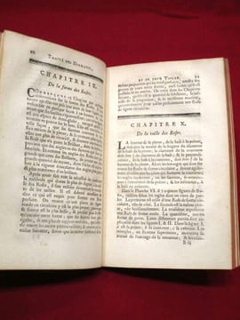 Traité des diamants et des perles, ou l'on considere leur importance, On établit des règles certaines pour en connoître la juste valeur, Et l'on donne ...