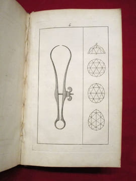 Traité des diamants et des perles, ou l'on considere leur importance, On établit des règles certaines pour en connoître la juste valeur, Et l'on donne ...