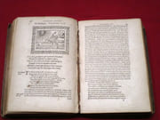 Omnia Andreae Alciati V. C. Emblemata : cum commentariis, quibus Emblematum omnium aperta origine [...] Per Claudium Minoem divionensem. par ALCIATO Andrea [ou ALCIATI ou ALCIAT André], MIGNAULT Claude (commentaires) - Image 6