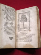 Omnia Andreae Alciati V. C. Emblemata : cum commentariis, quibus Emblematum omnium aperta origine [...] Per Claudium Minoem divionensem. par ALCIATO Andrea [ou ALCIATI ou ALCIAT André], MIGNAULT Claude (commentaires) - Image 7