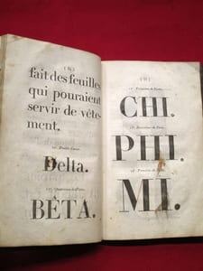 L'Art du typographe. Contenant les détails de chacune des deux parties de cette science, la désignation des modèles des principaux caractères; les proportions et l'alignement des vers; [...]