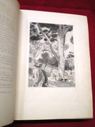 Bouvard et Pécuchet. par FLAUBERT Gustave, LEROUX Auguste (illustrations) - Image 6