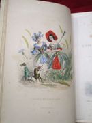 Les Fleurs animées. (2 tomes reliés en 1 volume) par KARR Alphonse, DELORD Taxile & LE COMTE FOELIX (texte), GRANDVILLE J. J. (illustrations)