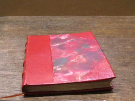 La Reine mère.. DEVAUX Pierre (texte et illustrations)