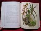 Lindenia, iconographie des orchidées. 5 volumes: 1885/1888 - 1888/1991 - 1891/1894 - 1894/1898 - 1898/1906.. LINDEN Jean-Jules