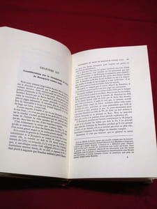La campagne de 1796 en Italie. (REPRINT - réimpression de l'édition de Paris 1899)