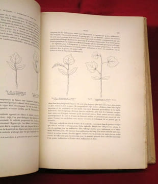 Traité Général de Viticulture, Ampélographie (7 volumes).. VIALA, Pierre - VERMOREL, Victor. (sous la direction de)