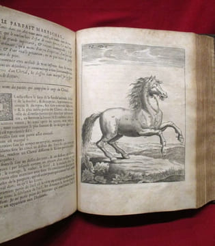 Le parfait mareschal (maréchal) qui enseigne a connoistre (connaitre) la beauté, la bonté & les defauts des chevaux. Les signes & les causes des ...