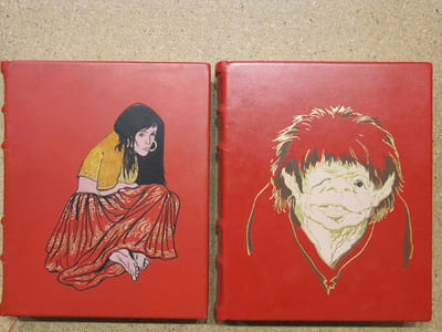 Notre-Dame de Paris (2 volumes).