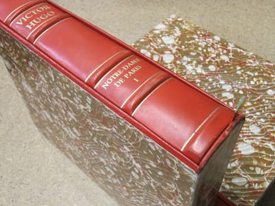 Notre-Dame de Paris (2 volumes).