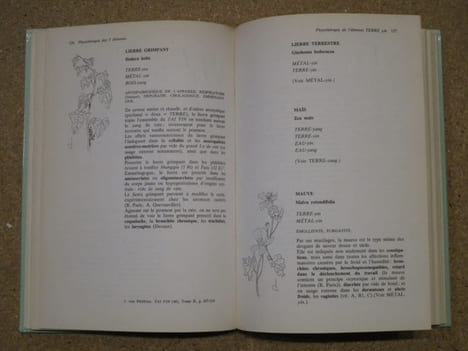 Acupuncture et phytothérapie : de l'usage des plantes occidentales en medecine chinoise. Tome II : les plantes du métal, du feu, de la terre et de ...