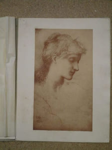 L'estampe moderne : Numéro 22, Février 1899. Publication mensuelle contenant quatre estampes originales inédites en couleurs et en noir des principaux artistes modernes français et étrangers éditée par l'Imprimerie Champenois.