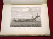 [Atlas seul] Relation de l'Ambassade anglaise, envoyée en 1795 dans le royaume d'Ava, ou l'empire des birmans; par le major Symes, chargé de cette ambassade. par SYMES Michel, CASTERA J. (traducteur) - Image 6